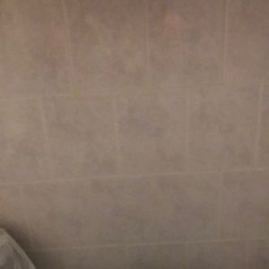 Meet your Posher, Brady